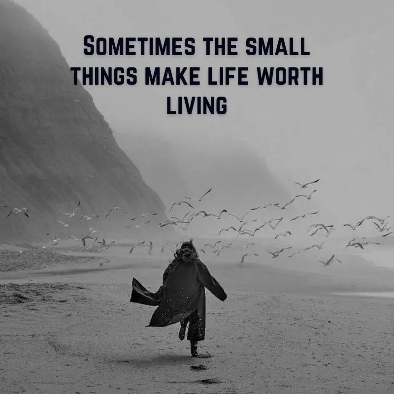 Small Things Latest Heart Touching Quotes Hd 2025 2026